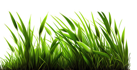 Green grass isolated on transparent pgn background with place for text. Generative ai