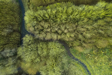 Walking path in a park with green fields and trees. Aerial top down view. Nature scene. Nobody.