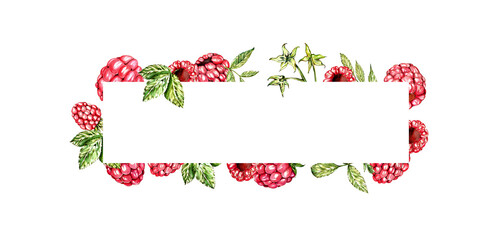 a set of watercolor elements. juicy raspberries with leaves. for postcards and design © Lidiia