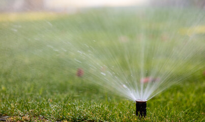 Nature's Refreshment: Automatic Sprinkler Watering Grass