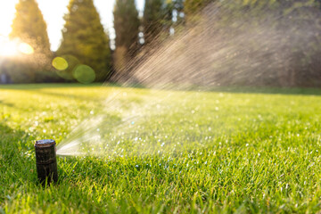 Efficient Garden Care: Automatic Sprinkler at Sunrise. concept wallpaper for a gardening business - obrazy, fototapety, plakaty