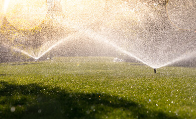 Sunrise Sprinklers: Automatic Watering for Lush Green Lawns. Great for Gardening Business concept wallpaper