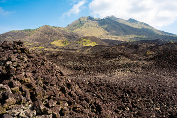 Trip to Batur volcano on Bali, Indonesia. Black lava sand and green plants