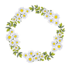 Greenery flowers wreath. Rustic floral circle background, isolated hand drawing illustration.