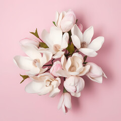 White Magnolia Bouquet On Pink Background Illustration