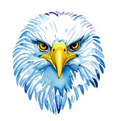 eagle head with style hand drawn watercolor digital painting illustration