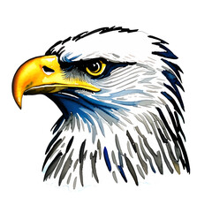 eagle head with style hand drawn watercolor digital painting illustration