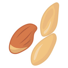 Beans And Legumes Peanuts