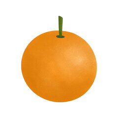 Orange on a white hand drawn watercolor