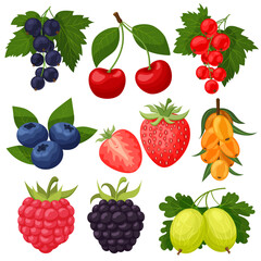 Summer fresh berries icons. Illustration of black currant, red currant, cherry, blueberry, strawberry, sea buckthorn, raspberry, blackberry, gooseberry.