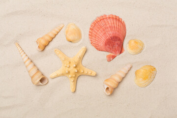 Fototapeta na wymiar Sea shells on sand, top view