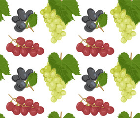 Branches of red, black and green grapes with leaves. Seamless pattern in vector. Suitable for backgrounds and prints.