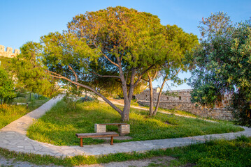 Two benches near a tree and a stone path.