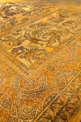 Roman Mosaic, La Olmeda Roman Village, Archaeological Site,  Spanish Cultural Property, Pedrosa de la Vega, Palencia, Castile and Leon, Spain, Europe