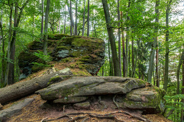 Rock Formation in Forest in Rockland of Dahn, Rhineland-Palatinate, Germany, Europe