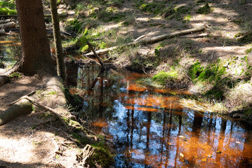 Brown water from the peat bog - humic acid