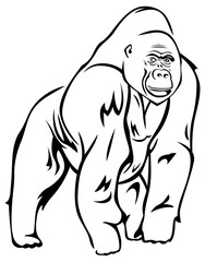 Gorilla vector