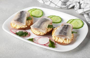 Homemade sandwiches with salted herring, cheese and egg served cucumber and radish on white plate