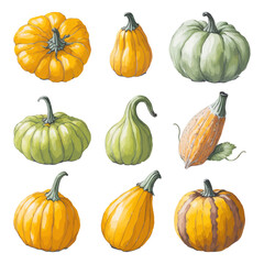 Set of Watercolor Pumpkin collections with isolated white background