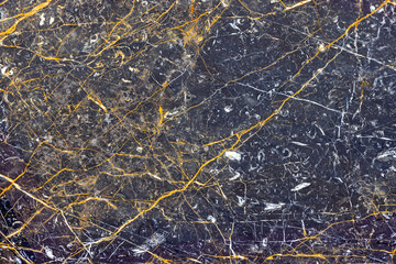Fototapeta na wymiar Black Marble Gold Veins Background Texture