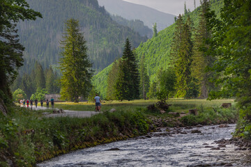 Bacówka w Dolinie Kościeliskiej. Turyści spacerujący pośród drzew w górach.  © rogozinski