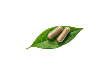 Herb supplement capsules on green leaf isolate on white background. Selective focus.