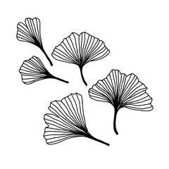 Black ink line art leaves, hand drawn elements on white background