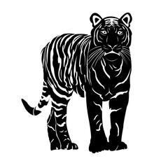 Tiger illustration