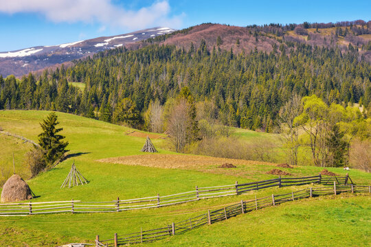 scenic countryside with grassy hills, trees, and mountains. carpathian rural landscape in stunning