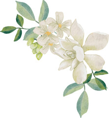 watercolor white thai flower gardenia and orange jasmine bouquet wreath frame - obrazy, fototapety, plakaty