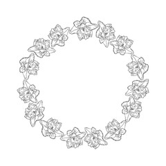 Narcissus flower circle wreath, hand drawn line art isolate on white background. Perfect for card or invite