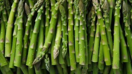 fresh wet asparagus fullframe and top view
