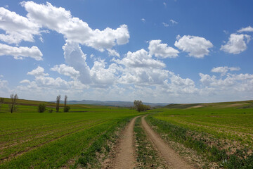 wild life path, land road stabilized road, nature and curvy country road,