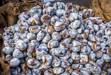 Roasted chestnut for sale in Porto city, Portugal