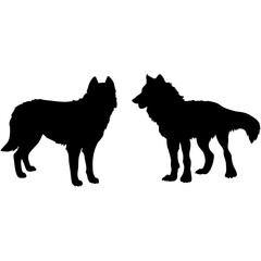 silhouette of two wolves