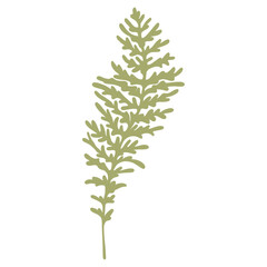Fern frond green silhouette. Vector forest concept