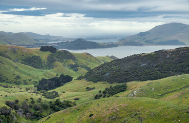 Fototapeta na wymiar Otago Peninsula South Island New Zealand