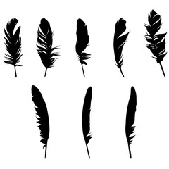 Feather SVG, Feathers SVG, Feather Clipart, cricut, Feather silhouette files