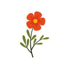 Spring Flower Illustration