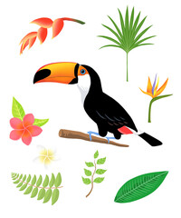 Fototapeta premium Toco toucan and tropical plant illustration, 토코 투칸과 열대식물 일러스트