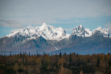 Beautiful alaskian view. These pictures was taken mostly about the Denali National Parks