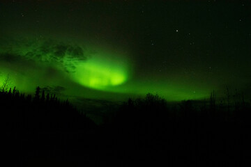 Fototapeta na wymiar Alaskian aurora