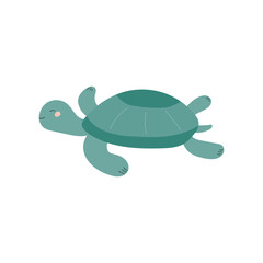 turtle isolated flat vector illustration