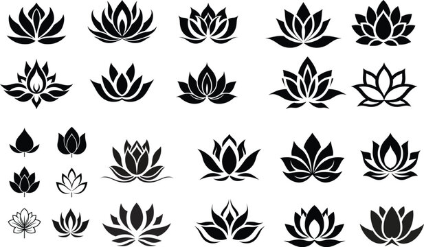 flower lotus illustration floral vector nature silhouette design pattern tattoo abstract art decoration	