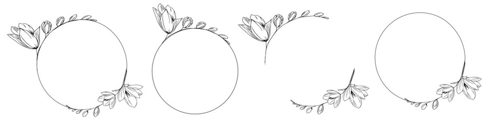 Luxury botanical gold wedding frame elements on white background. Set of circle shapes, glitters, eucalyptus leaves, leaf branches. Elegant foliage design for wedding, card, invitation, greeting