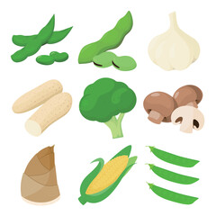 Vector illustration of vegetables rich in protein.