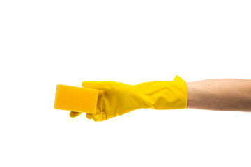 Hands up yellow rubber cleaning gloves holding sponge isolated on white background. Place for text. Professional cleaning concept