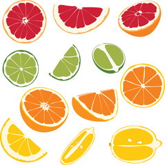 Obraz premium Vector of the Fruit stickers