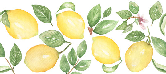 Watercolor hand drawn lemon seamless border, citrus fruit with leaves repeat border, textile...