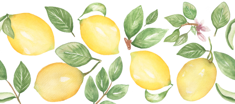 Watercolor hand drawn lemon seamless border, citrus fruit with leaves repeat border, textile design, card